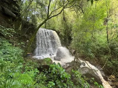 Lote/Terreno à venda, 80000m² no , Nova Petrópolis
