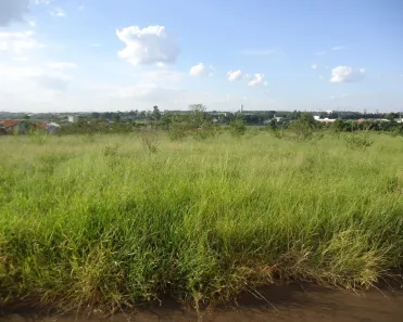 Lote/Terreno à venda, 13000m² no Jardim dos Calegaris, Paulínia