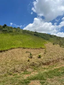Lote/Terreno com 1 Quarto à venda, 4228m² no Pedro do Rio, Petrópolis