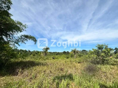 Fazenda/Sítio com 1 Quarto à venda, 20137m² no Área Rural de Porto Velho, Porto Velho
