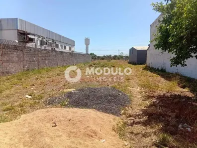 Lote/Terreno à venda, 847m² no Novo Mundo, Uberlândia