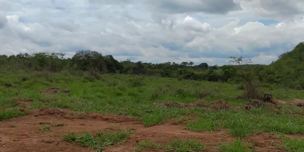 Lote/Terreno à venda, 20000m² no , Jequitibá