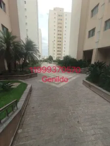 Apartamento com 3 Quartos para alugar, 70m² no Vila Butantã, São Paulo