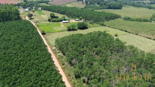 Fazenda/Sítio à venda, 54000m² no , Triunfo
