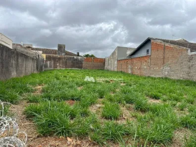 Lote/Terreno à venda, 498m² no Parque São Miguel, São José do Rio Preto