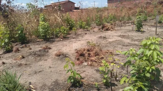 Lote/Terreno à venda, 330m² no Angelim, Teresina