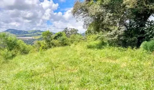 Lote/Terreno à venda, 10000m² no , Bom Repouso