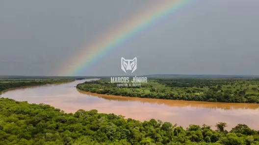 Fazenda/Sítio à venda, 999999999m² no , Buritizeiro