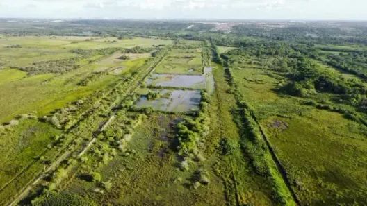 Fazenda/Sítio com 3 Quartos à venda, 497000m² no , Extremoz
