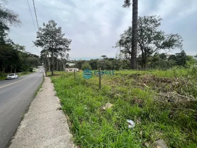Lote/Terreno à venda, 10790m² no Santa Lúcia, Caxias do Sul
