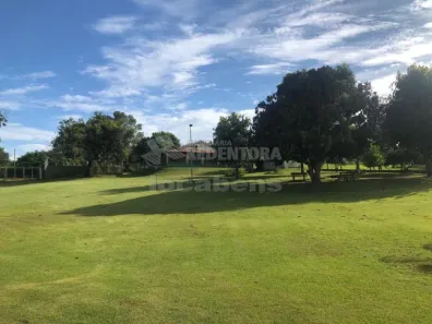 Fazenda/Sítio com 3 Quartos à venda, 250m² no Área Rural de Ruilândia (Mirassol), Mirassol