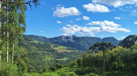 Fazenda/Sítio à venda, 60679m² no Dos Boêmios, Nova Petrópolis