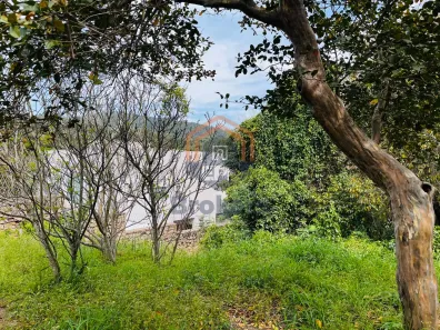 Lote/Terreno à venda, 1007m² no Tulipas, Jundiaí