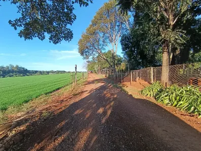 Fazenda/Sítio à venda, 38435m² no Vivendas do Arvoredo, Londrina