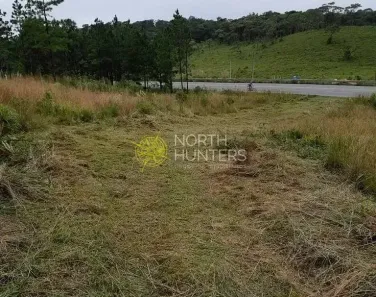 Lote/Terreno à venda, 92000m² no Campo Alegre, Campo Alegre