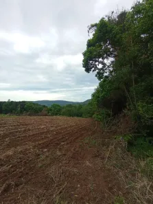 Fazenda/Sítio com 1 Quarto à venda, 30000m² no Linha Marcondes, Gramado