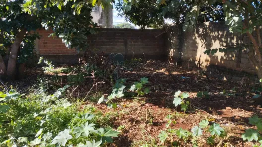 Lote/Terreno à venda, 363m² no Vila Virgínia, Ribeirão Preto