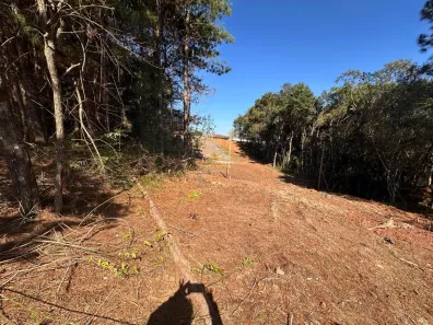 Lote/Terreno à venda, 1172m² no Vila Bancária, Campo Largo