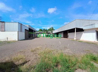 Galpão/Depósito/Armazém para alugar, 1219m² no Estância Jóckei Club, São José do Rio Preto
