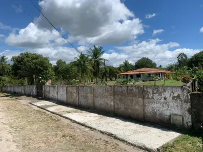 Fazenda/Sítio com 4 Quartos à venda, 450m² no Jabuti, Itaitinga