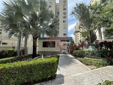Apartamento com 2 Quartos à venda, 51m² no Loteamento Malbec, Maringá