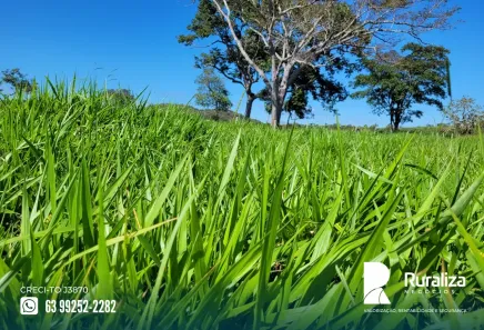 Fazenda/Sítio à venda, 1229m² no , Miranorte