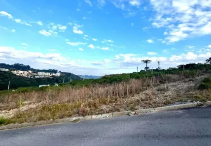 Lote/Terreno à venda, 336m² no São Luiz, Caxias do Sul