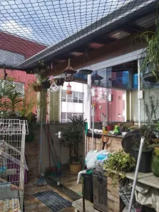 Cobertura com 2 Quartos à venda, 75m² no Vila Assunção, Santo André