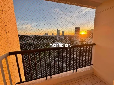 Apartamento com 2 Quartos para alugar, 50m² no Vila Anastácio, São Paulo
