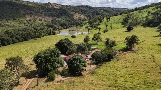 Fazenda/Sítio com 5 Quartos à venda, 250m² no , Abadiânia