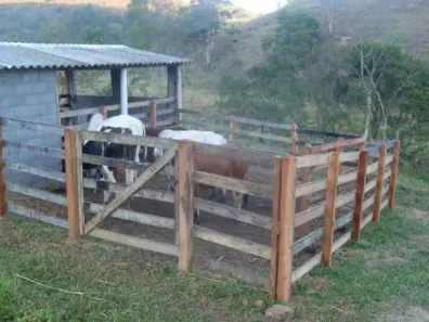 Fazenda/Sítio com 4 Quartos à venda, 240m² no Vila São Geraldo, São José dos Campos