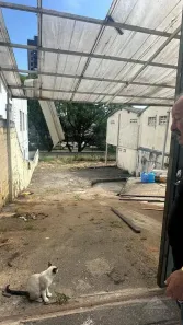 Imóvel Comercial para alugar, 300m² no Jardim, Santo André