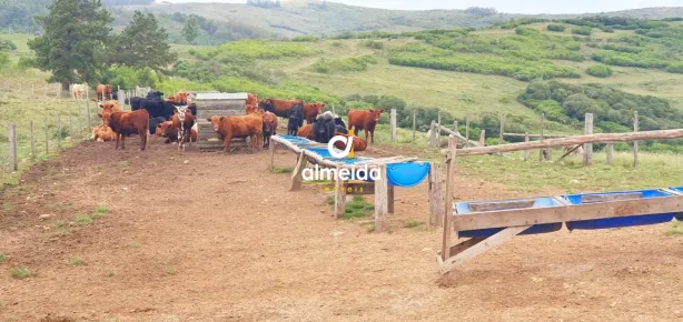 Fazenda/Sítio à venda, 1490000m² no , Pantano Grande