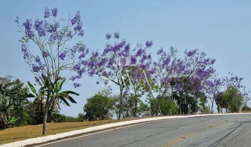 Lote/Terreno à venda, 1000m² no , Brumadinho