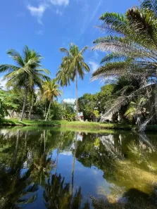 Casa com 4 Quartos à venda, 3000m² no , Tibau do Sul