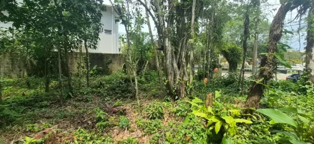 Lote/Terreno à venda, 525m² no Riviera, Bertioga