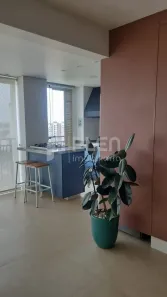 Apartamento com 3 Quartos à venda, 120m² no Vila Paulicéia, São Paulo