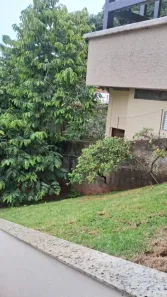 Apartamento com 2 Quartos à venda, 44m² no Vila Paulicéia, São Paulo