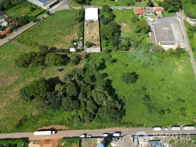 Lote/Terreno à venda, 5000m² no Chácaras Mansões Rosas de Ouro, Goiânia