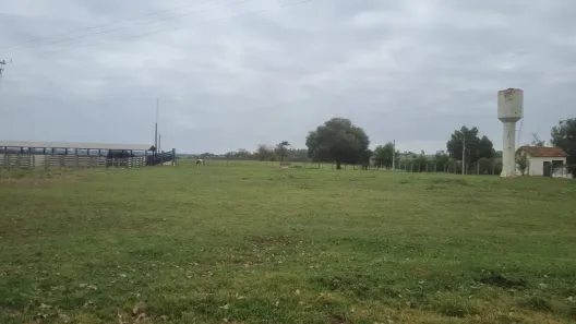 Fazenda/Sítio à venda, 5267500m² no Centro, Dracena