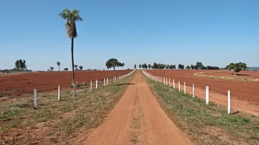 Fazenda/Sítio com 6 Quartos à venda, 174m² no , Paranaíba