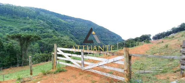 Lote/Terreno à venda, 20000m² no , Caxias do Sul