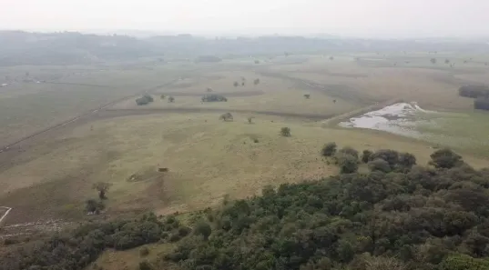 Fazenda/Sítio à venda, 4000000m² no Passo do Vigário, Viamão