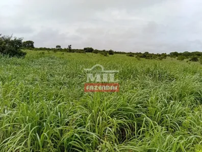 Fazenda/Sítio à venda, 500m² no , Dueré