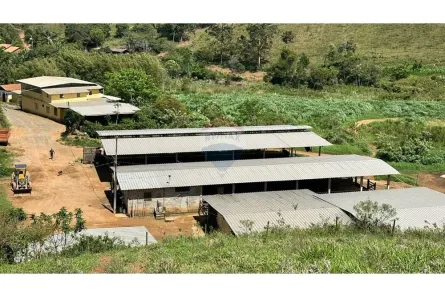 Fazenda/Sítio com 2 Quartos à venda, 700000m² no Varginha, Ewbank da Câmara