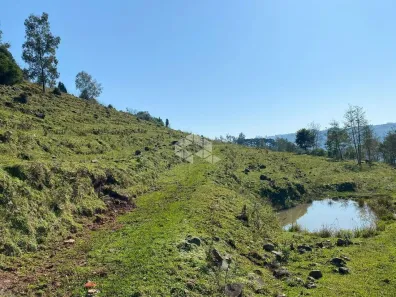 Fazenda/Sítio à venda, 210000m² no Jansen, Farroupilha