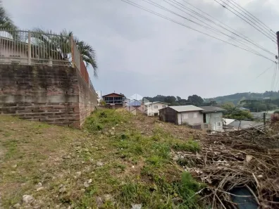 Lote/Terreno à venda, 439m² no São Luiz, Farroupilha
