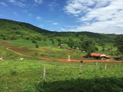 Fazenda/Sítio com 3 Quartos à venda, 920m² no , Barro Alto