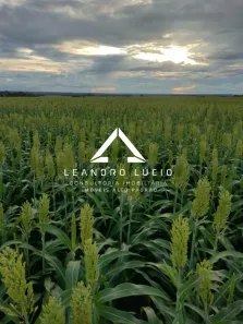 Fazenda/Sítio à venda, 4080m² no , Ribeirão Cascalheira