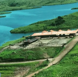 com 3 Quartos à venda, 280m² no Área Rural de Belém, Belém